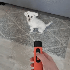 LydLyn | Detén los ladridos de tu perro con un solo clic