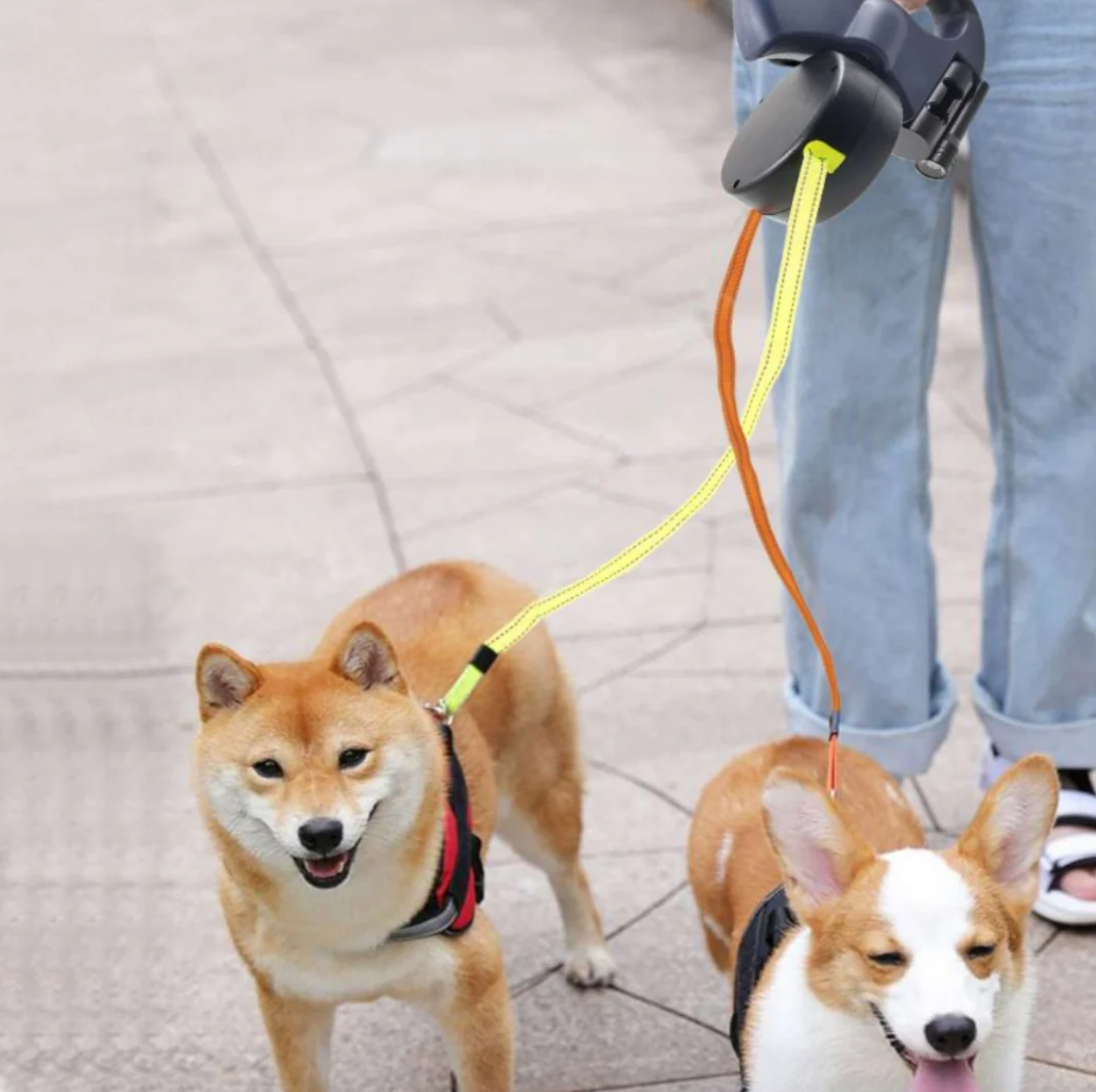 DuoLeash™ – Correa para perros 2 en 1 con luz
